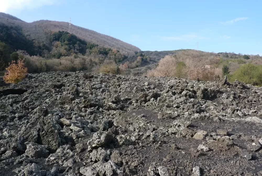 The 1991 – 1993 eruption