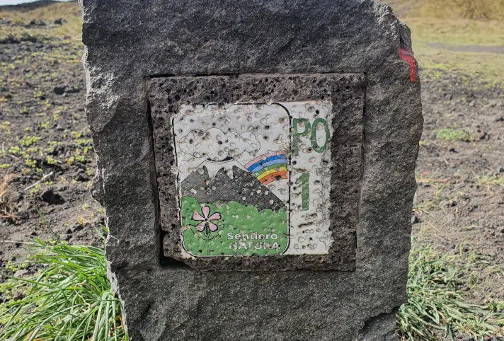 The Saponaria on the logo of Etna Park