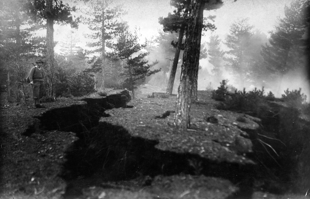 Ein von Lava zerstörter Pinienwald während des Ausbruchs von 1928