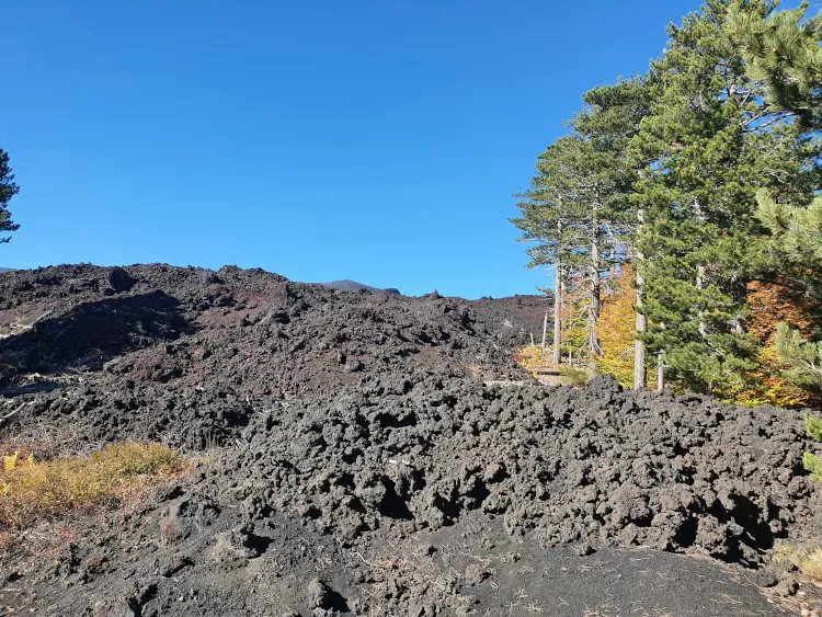 De noordkant van de Etna in de herfst