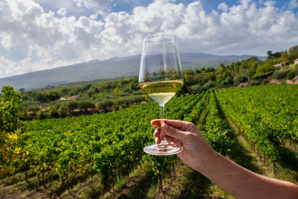 Scenic,View,Of,Hand,Holding,Glass,Of,White,Wine,Against, Etna
